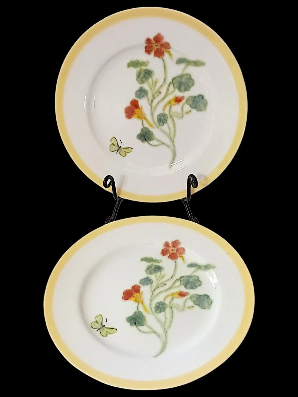 2 Williams Sonoma Flowering Herbs Salad Plates Purple Herb Flowers Nasturtium